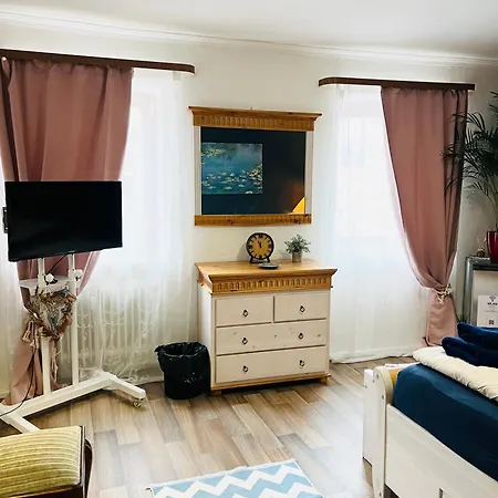 Apartment Amelie - Mit Tv, W-lan, Mikrowelle Und Kuehlschrank, Bad Mit Dusche